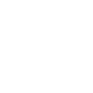 air-freight-icon